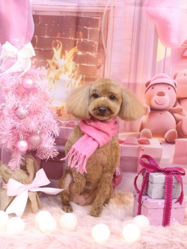 20241211ぷぅくん